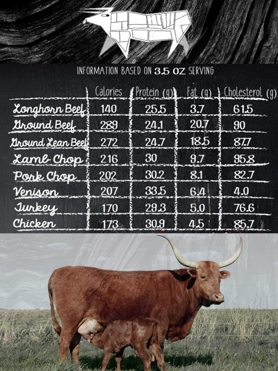 Longhorn Beef For Sale